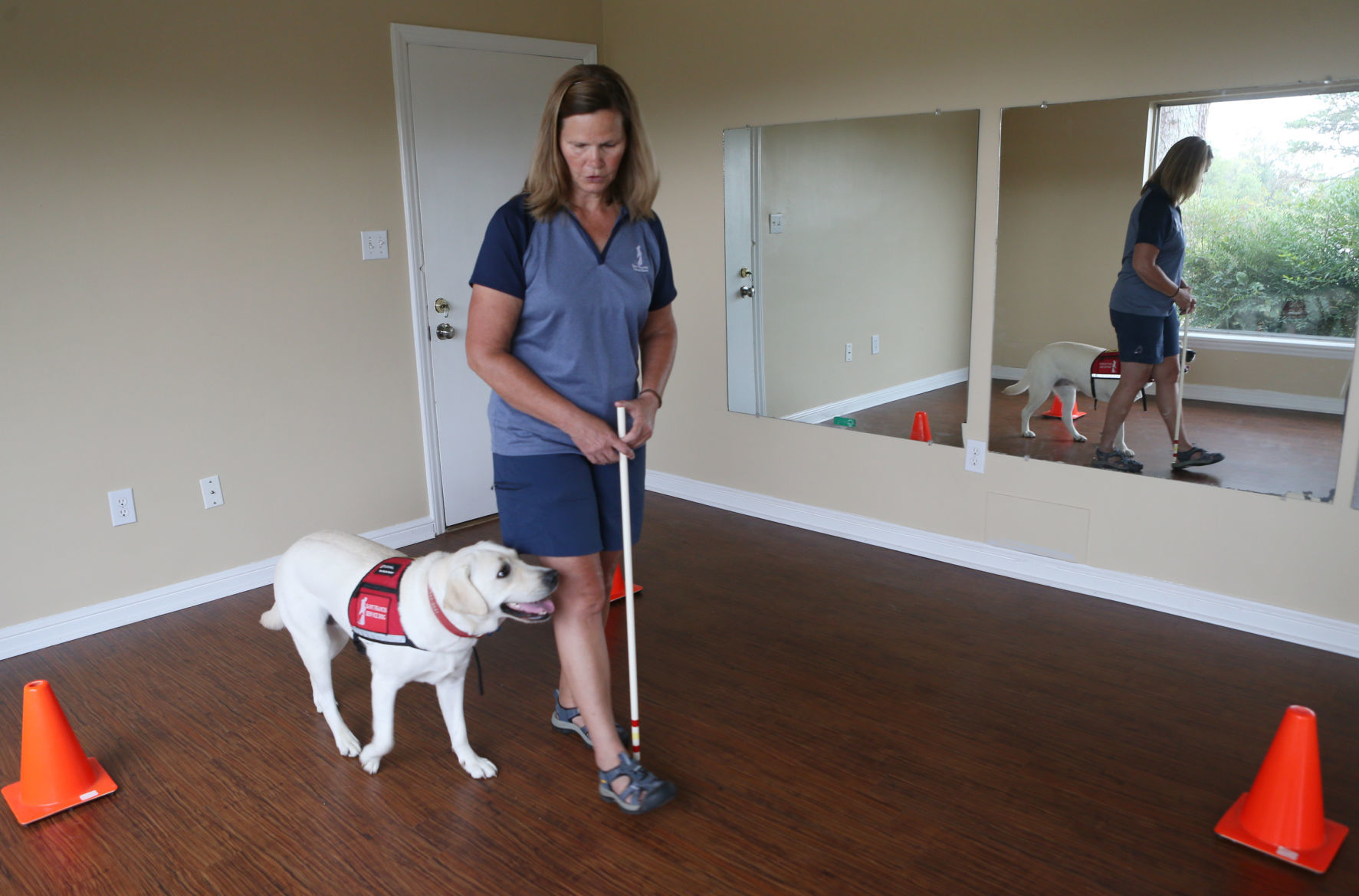 St. Francis Service Dogs